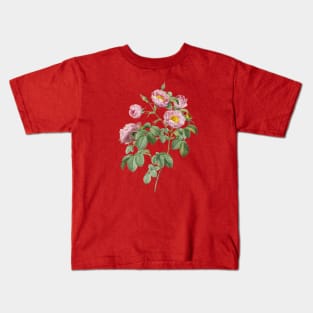 Vintage Tomentose Rose Botanical Illustration Kids T-Shirt